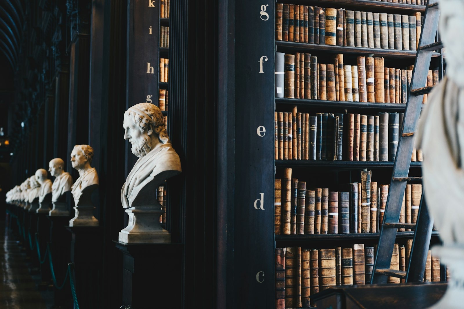 Biblioteca clássica com estantes de livros e bustos